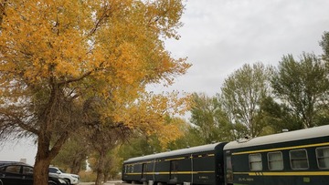752620