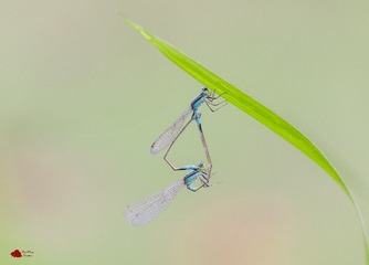 21485A66-BCED-4016-B8A3-A7439CBB7682/L0/001