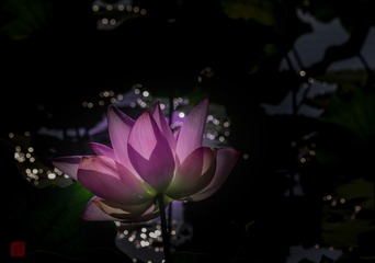 4EEC77E8-49CF-4E7C-9AD0-FA52C9236724/L0/001
