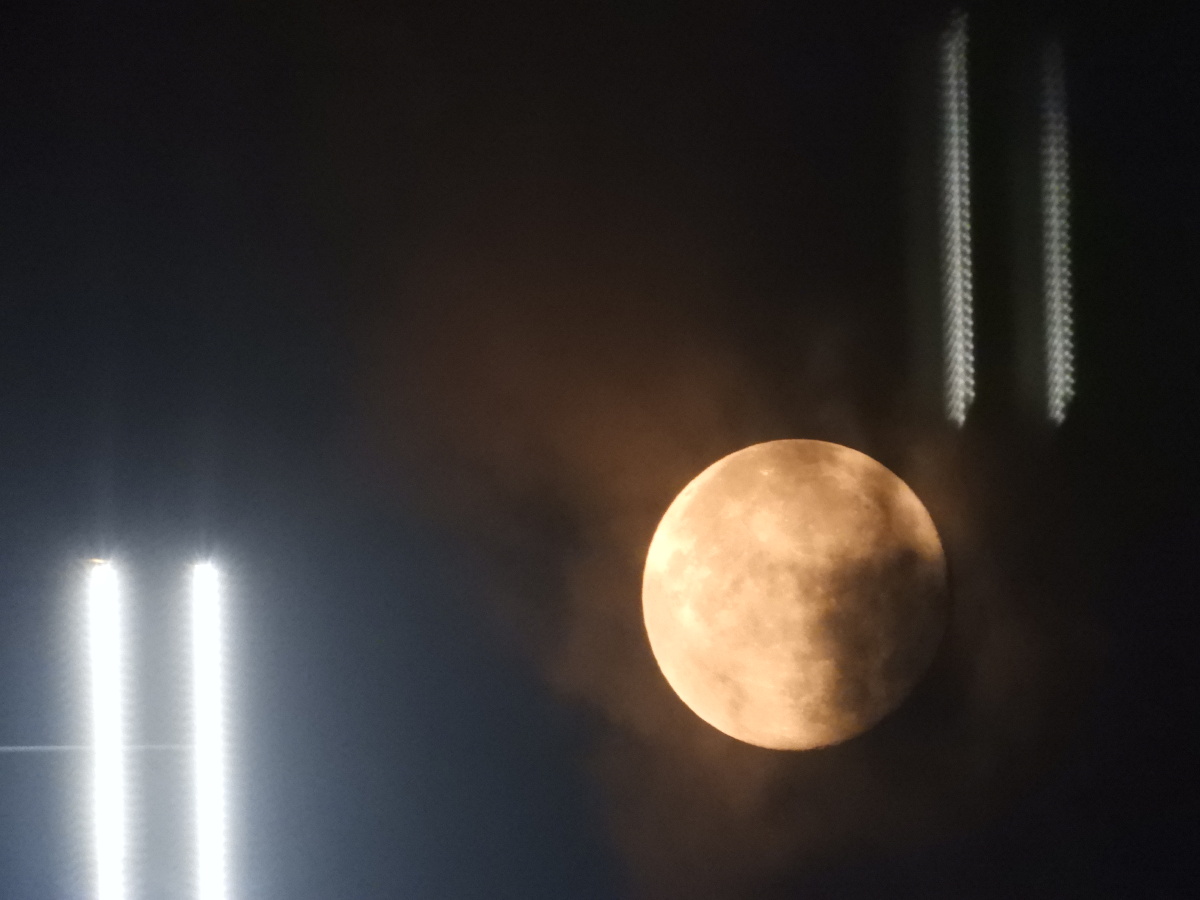 今日处暑,农历七月十六,圆月亮高挂天上,偶尔乌云飘过,朦胧而又神秘!