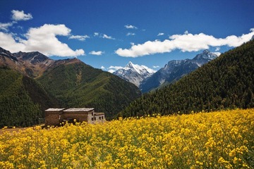 IMG_0452 副本.jpg