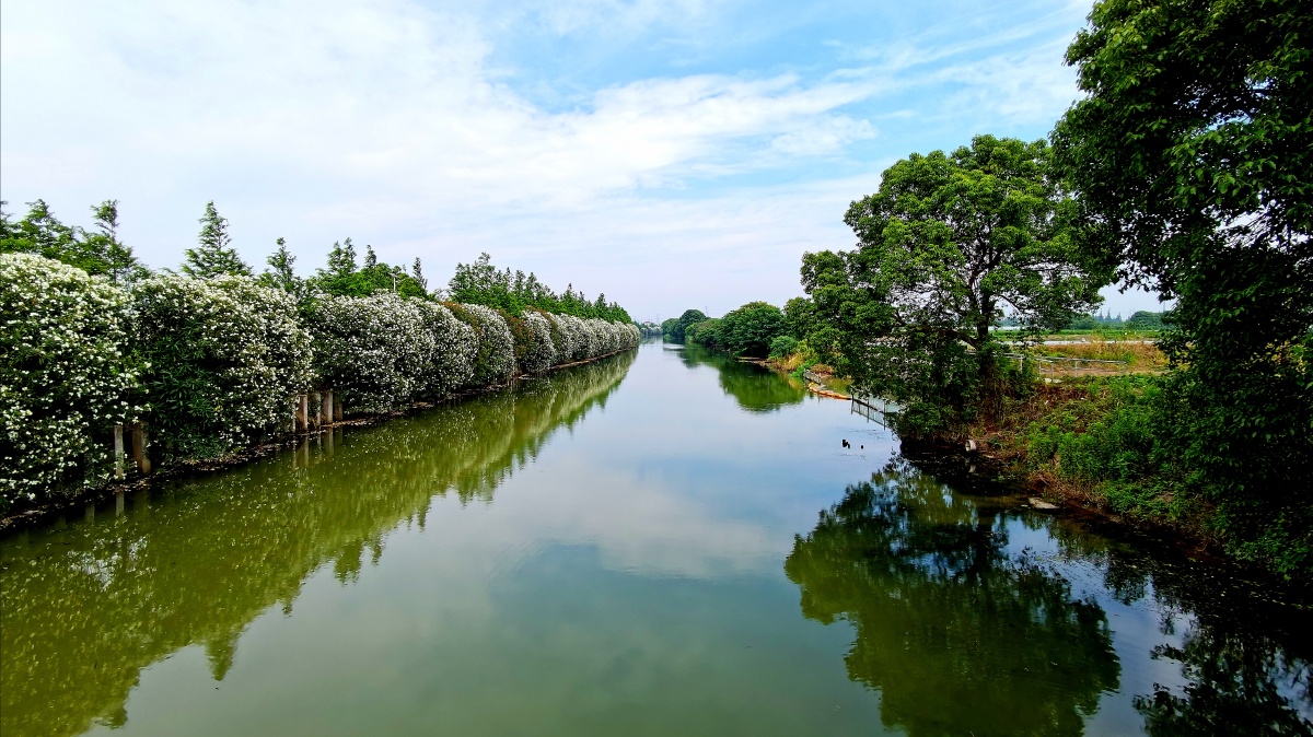 乡村河道