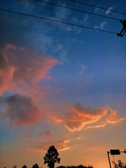2366716