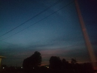 2316982