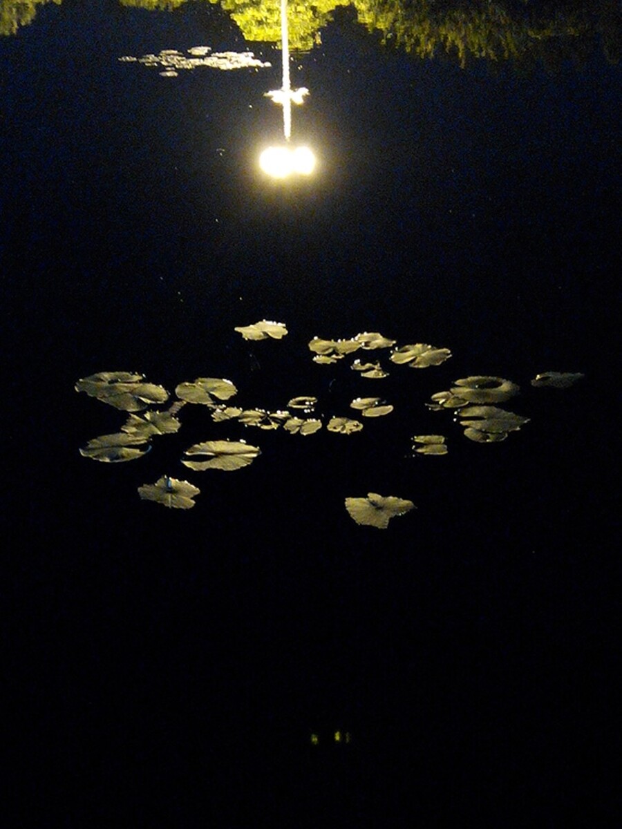 仲夏夜2