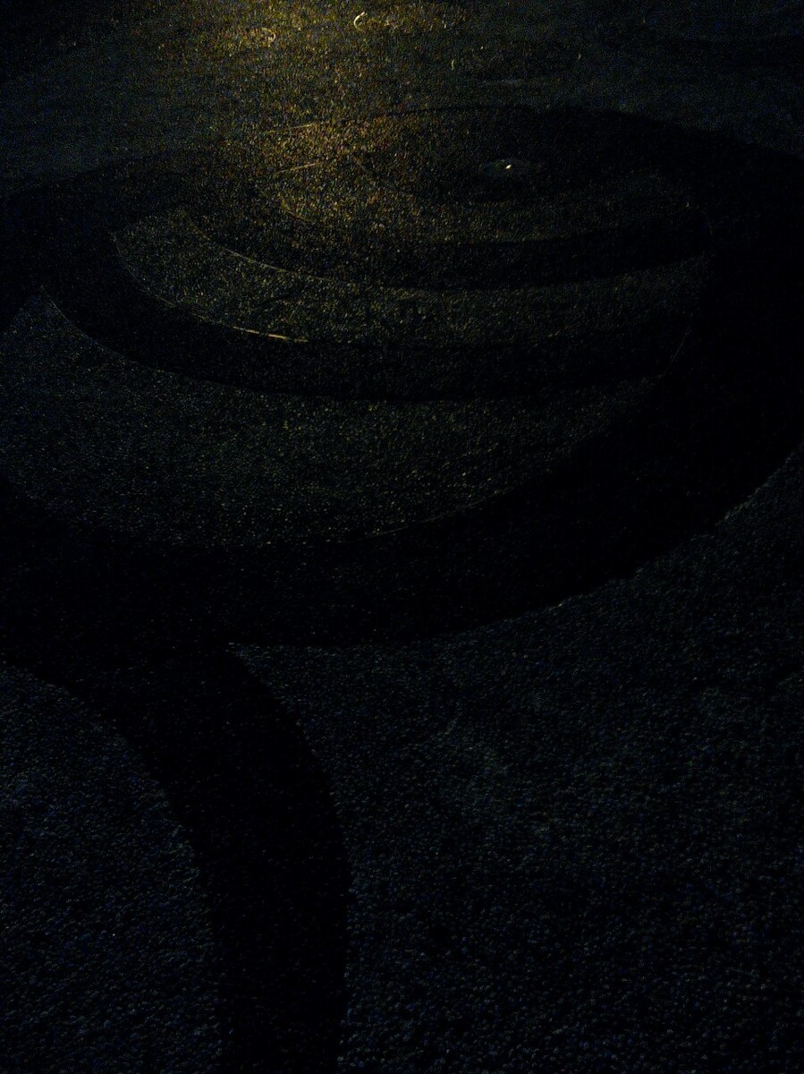 仲夏夜4