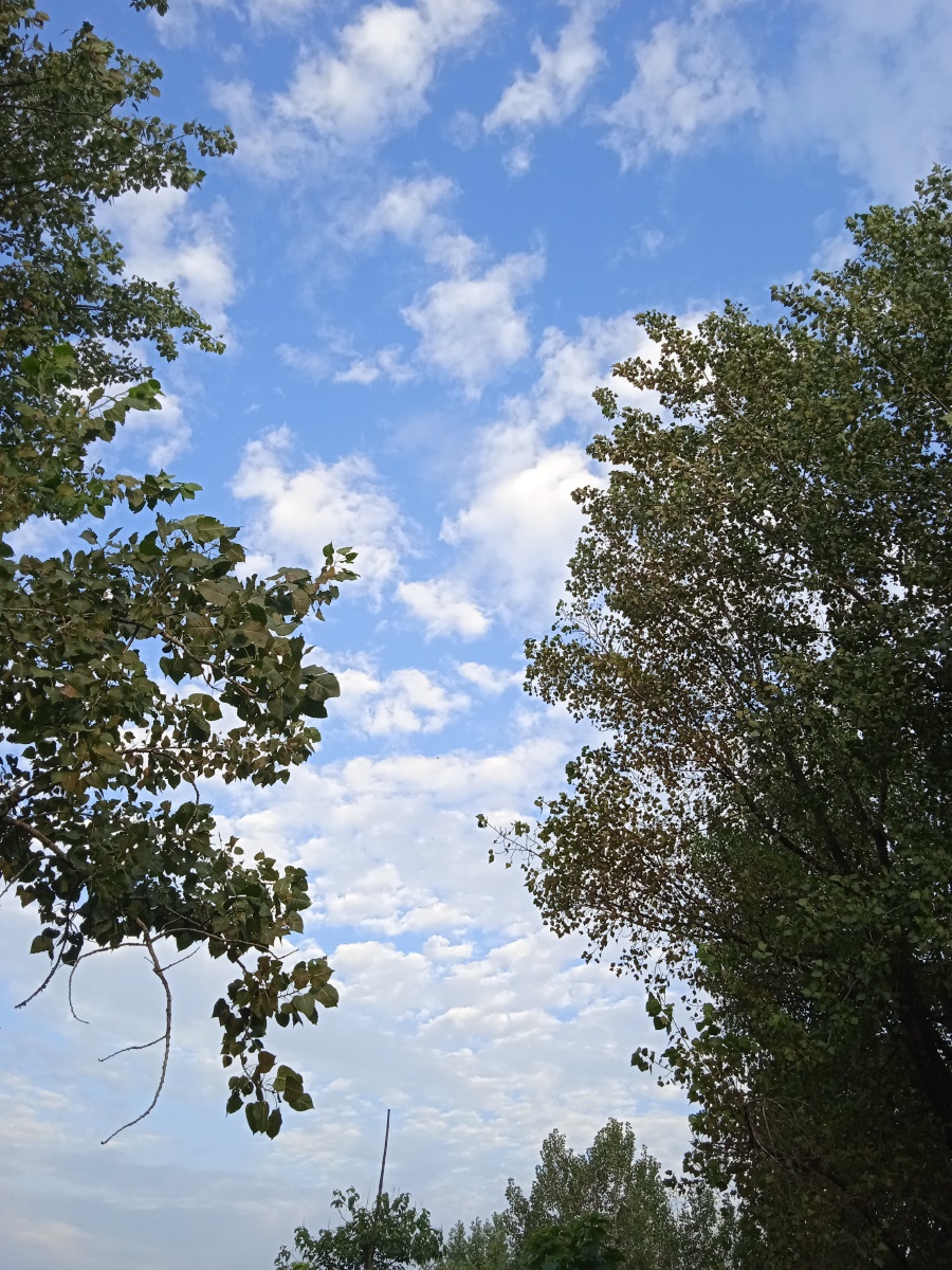 天气晴朗有你有我世间万物一切美好