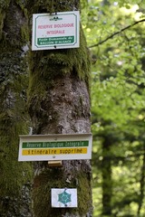 RIMG0009-1.jpg