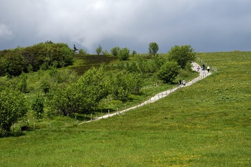 RIMG00336.JPG