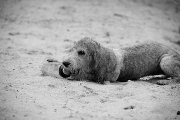 DSC_1486.jpg