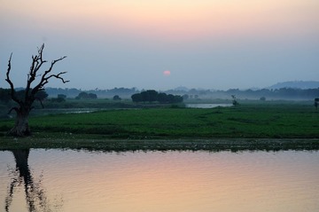 DSC_9856 