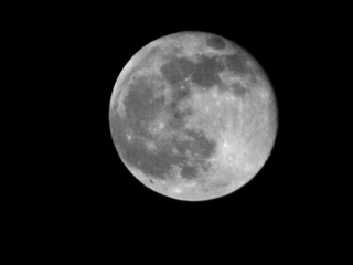 A584565B-BA84-4387-88E0-A7E30E8B972B/L0/001