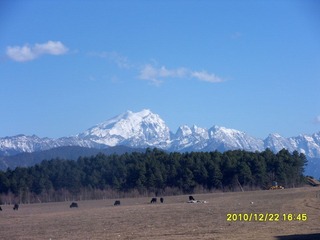 SDC11714.JPG