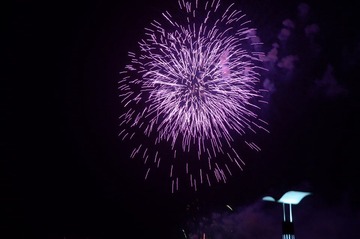 DSC_5552.JPG