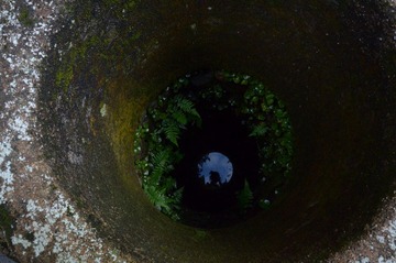 DSC_7683.JPG