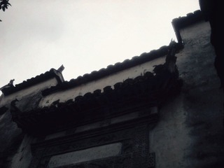 IMG_20111025_083658_副本.jpg