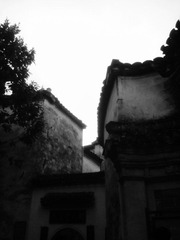 IMG_20111025_090826_副本.jpg