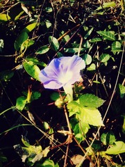 IMG_20111025_144105_副本.jpg