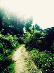 IMG_20111026_101642_副本.jpg