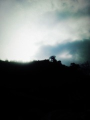 IMG_20111030_142228_副本.jpg