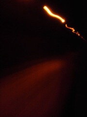 IMG_20111031_133815_副本.jpg
