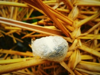P1010288_副本.jpg