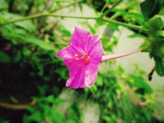 p1010315_副本.jpg