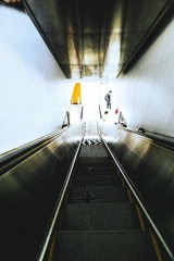 444206