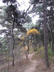 IMG_0063.JPG
