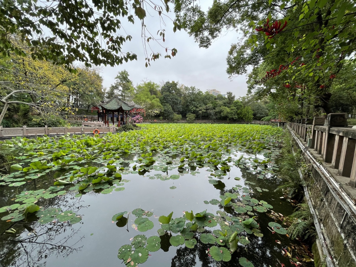 广汉雒城(某12pro原片) - 风华绝代段子凯 - 图虫