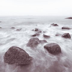 IMG_5838_1.jpg