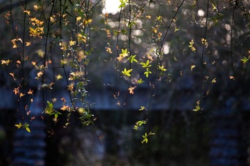 IMG_6990.jpg