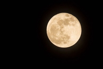 IMG_0988fuben.jpg