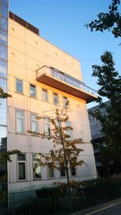 DSC03556.JPG