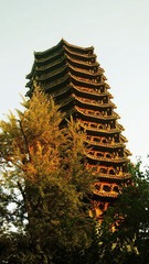 DSC03557@.jpg