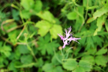 DSC03844.JPG
