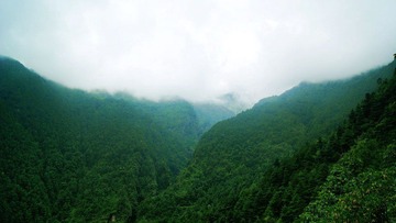 DSC01641.JPG