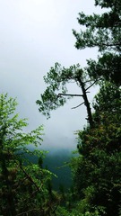 DSC01661@.jpg