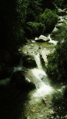 DSC01797@.jpg