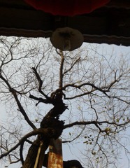 2012-02-01 15.35.33.jpg