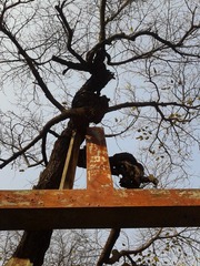 2012-02-01 15.35.27.jpg