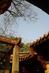 2012-02-01 15.37.01@.jpg
