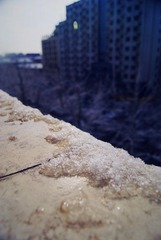 DSC05322@.jpg
