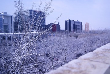 DSC05365.JPG