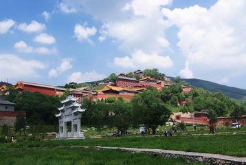 DSC06281@.jpg