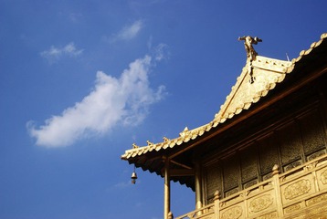 DSC06058@.jpg