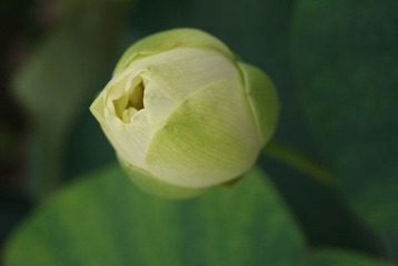DSC08425.JPG
