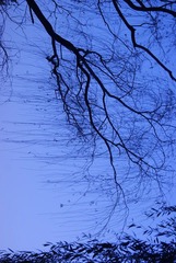 DSC08724.JPG