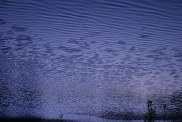 DSC08695.JPG