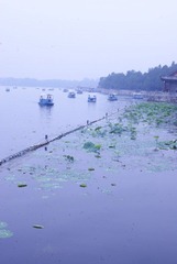 DSC08372.JPG